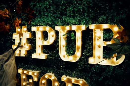 Pub inscription is made of glowing letters on a grass wall with leaves. Sign with light bulbs. Hashtag sign.