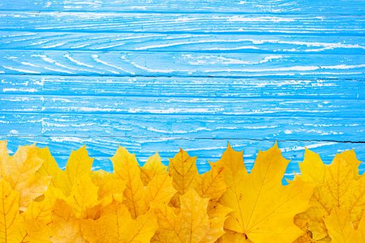 Autumn leaves frame on one down side wooden blue background top view Fall Border yellow and Orange Leaves vintage wood table Copy space. Mock up for your design. Display for product or text