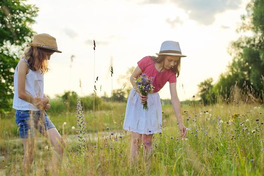 Two beautiful pretty girls kids tearing wildflowers walking in sunny meadow, picturesque landscape, golden hour. Childhood, summer, nature, beauty, children concept