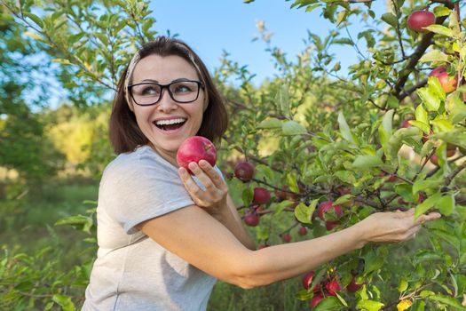 Woman gardener with freshly picked red apple in hand, background is tree with apples. Female eats natural, environmentally friendly apple grown in home garden, copy space