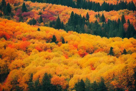 3D Illustration, selective focused, blurred, colorful fall forest landscape wallpaper.