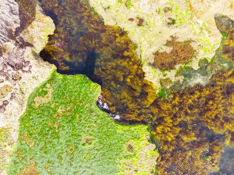 An aerial view of the coastline sea and sand on Pearses Beach on the Mornington Peninsula in Melbourne, Victoria, Australia