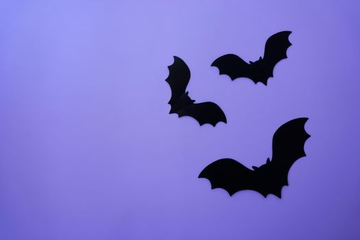 Bats and mockups on a purple background. High quality photo
