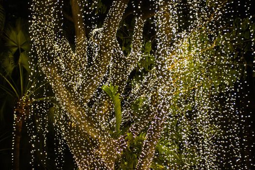 Decorative outdoor string lights hanging on tree in the garden at night time 