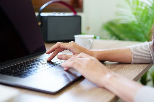 business woman working on computer at home.