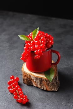 Red currant in a mug on a black background. copy space