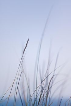 Nature background, environmental and agriculture concept - Rural field, a day in countryside