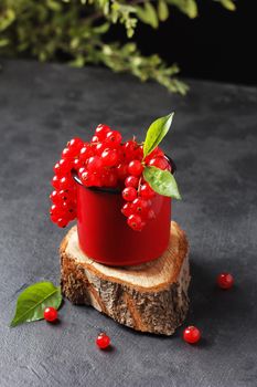 Red currant in a mug on a black background.