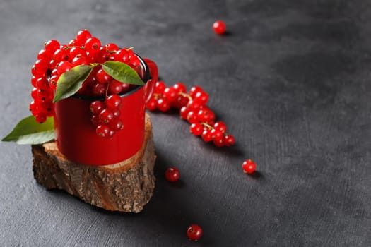 Red currant in a mug on a black background. copy space