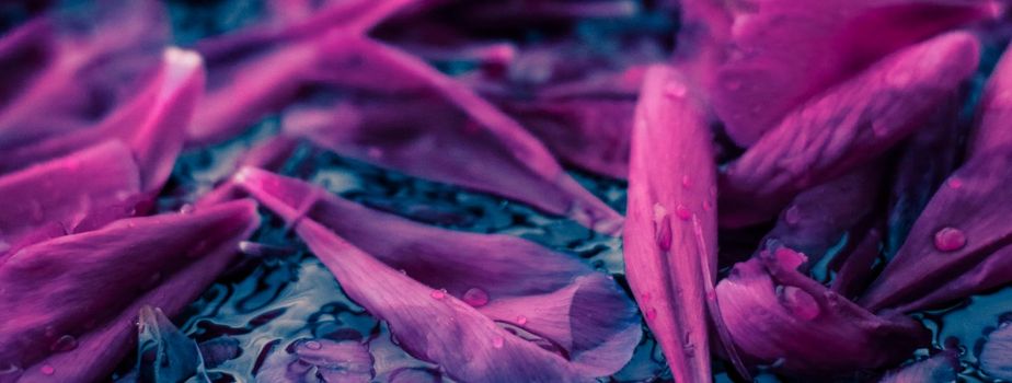 Beauty of nature, dream garden and wedding backdrop concept - Abstract floral background, purple flower petals in water