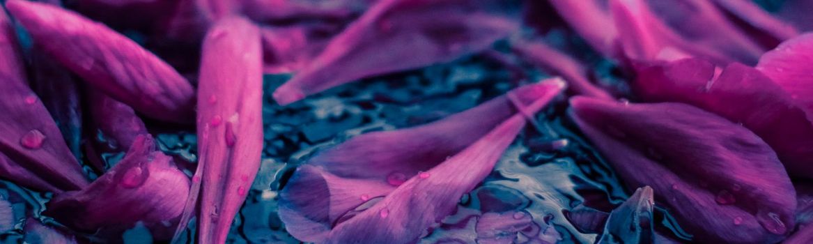 Beauty of nature, dream garden and wedding backdrop concept - Abstract floral background, purple flower petals in water