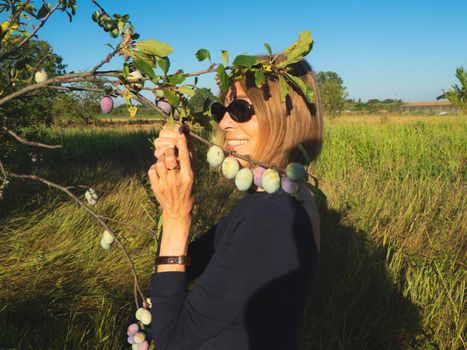elegant lady picking plums and peaches in a farm during summer