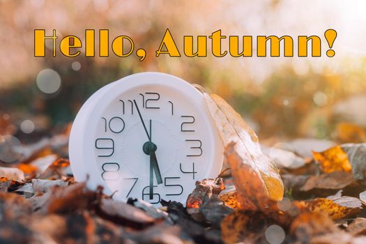 Banner hello autumn . A new season. Welcome card. September October November. Watch. It's autumn time. Autumn leaves. Nature.
