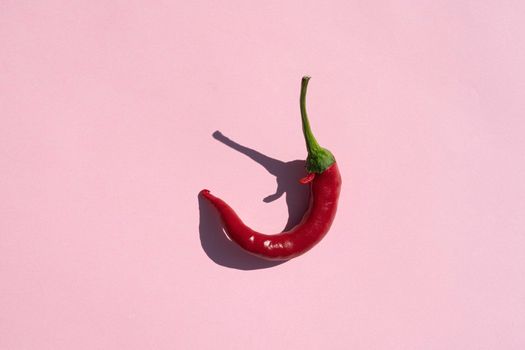 red hot pepper on a red background with a hard shadow. High quality photo