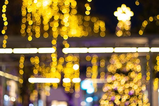 Decorative outdoor string lights hanging on tree in the garden at night time 