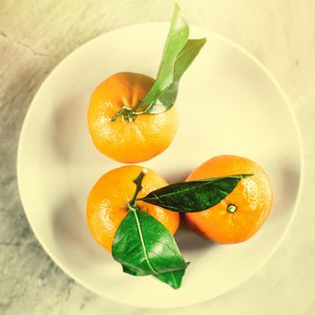 Ripe juicy mandarines in vintage style - retro still life and healthy nutrition concept. Tangerine delight