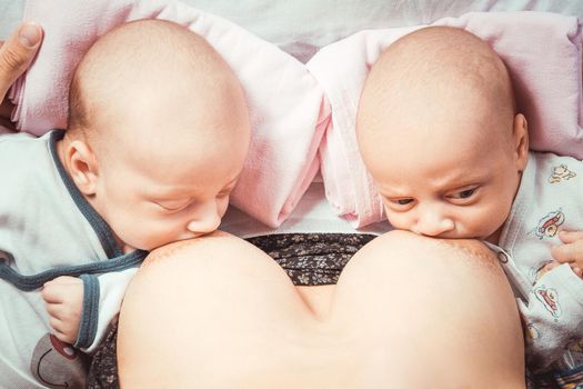 Two little twin suck the mother&#39;s breast