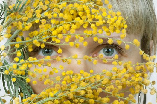 Women looking through the flowers of mimosa