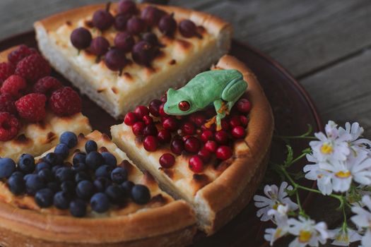 Red-eyed tree frog Homemade cheesecake Pie with berries On Wooden Background