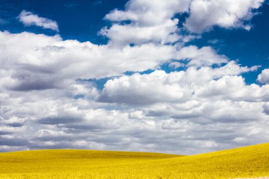 Landscape, agriculture and countryside meadow concept - Autumn rural field and cloudy blue sky, nature background