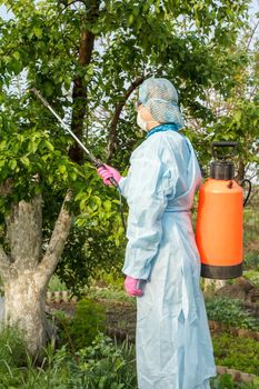 Female farmer in a protective suit is spraying apple trees from fungal disease or vermin with pressure sprayer and chemicals in the summer orchard.