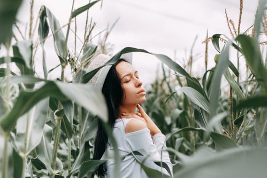 A brunette girl in a white dress in a cornfield. The concept of harvesting.