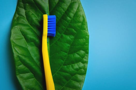 Clean toothbrush and green leaf on a blue background. Flat lay, top view, copy space.