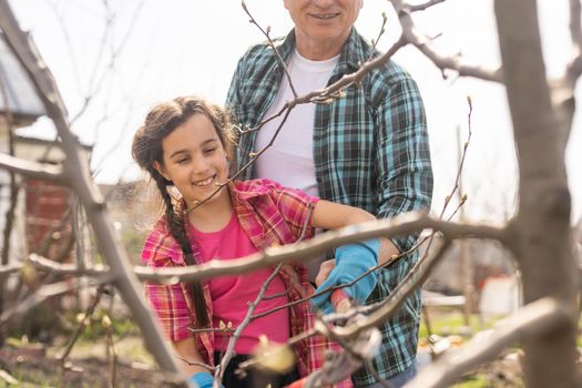 Small girl with senior grandfather in the backyard garden, gardening.