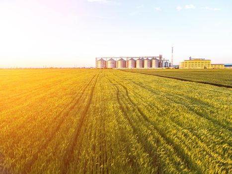 Grain elevator. Metal grain elevator in agricultural zone. Agriculture storage for harvest. Grain silos on green nature background. Exterior of agricultural factory