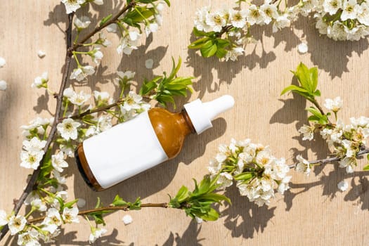 Blank white cosmetics tube and spring flowering tree branch with white flowers on pastel background. Front view.