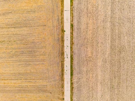 Luftaufnahme von Feldern nach Hitze und Regenarmut im Sommer der Klimakrise in Europa