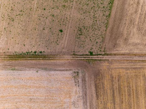 A dirt road and parched fields after a heat wave and crop failure in Germany