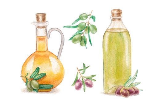 Set of hand drawn colorful watercolor olive oil painting isolated on white background. Illustration of olive tree, olive oil bottles
