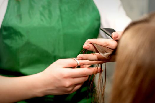 Closeup of a hairdresser cutting hair tips of a female customer in a beauty salon
