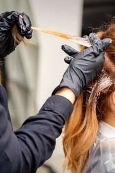 Closeup back view of hairdresser's hands in gloves applying dye to a strand of hair of redhead young woman in a hair salon