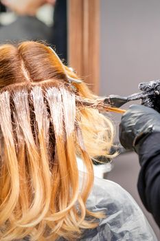 Female hairdresser dyeing hair of young caucasian woman in hair salon