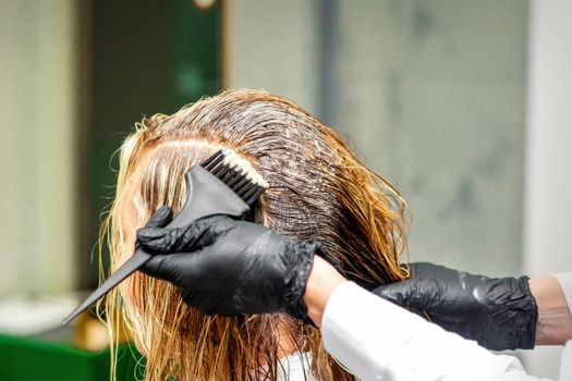 Hand of a hairdresser in black gloves applying dye to the female hair in a beauty salon