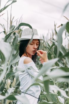 A brunette girl in a white dress in a cornfield. The concept of harvesting.