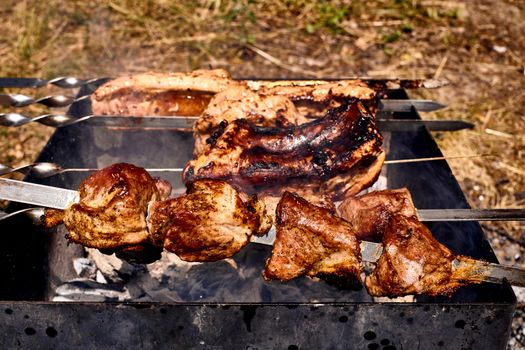 A meal or gathering at which meat, fish is cooked out of doors on a rack over an open fire or on a portable grill. Delicious piece of meat pork beef fried over the fire mangal at a picnic.