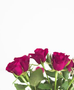 Tender bouquet of roses, floral gift and beautiful flowers closeup