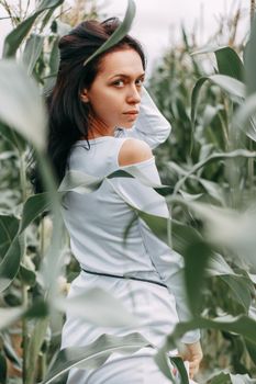 A brunette girl in a white dress in a cornfield. The concept of harvesting.