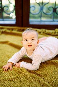 Baby lies on his tummy on a blanket on the floor. High quality photo