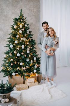 A happy couple in love - a man and a woman. A family in a bright New Year's interior with a Christmas tree.