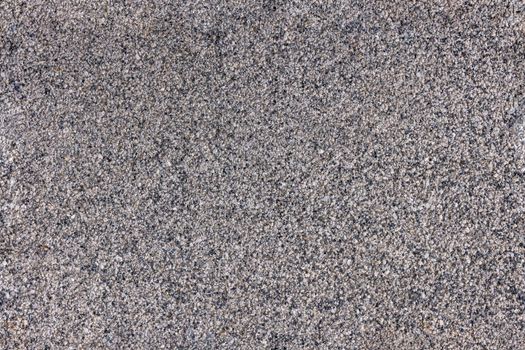 seamless texture and background of gray sand plaster.