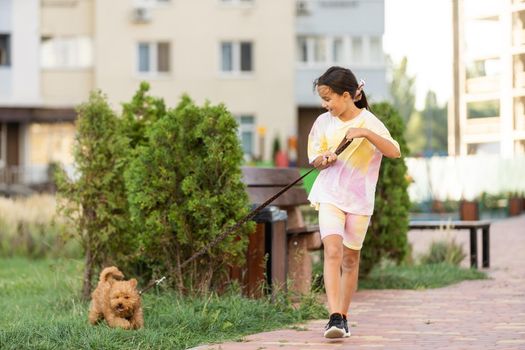 a little girl with Adorable Maltese and Poodle mix Puppy or Maltipoo dog.