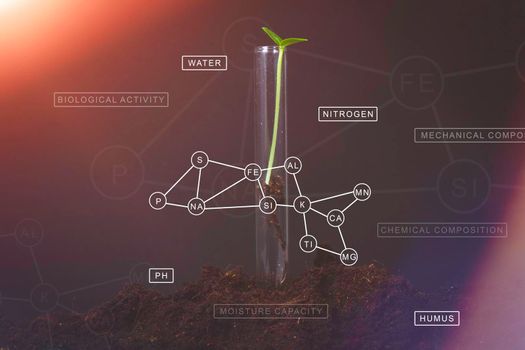 Planting a plant in the ground. The concept of natural farming. Natural natural fertilizers. quality formula. Healthy food.