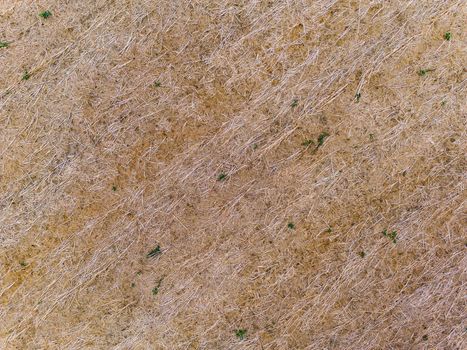 Dry stubble field with dead stubble in field from drone perspective