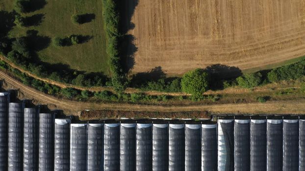 Top Down Aerial View of Green and Yellow Wheat Field Farm and Greenhouses. Golden Crops During Pasture Aerial View. Agricultural Work in Summer During Drought. Grain Crisis. Nature, Harvesting, Eco