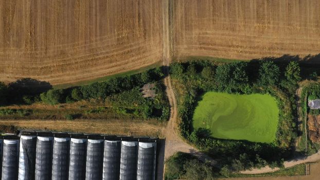 Top Down Aerial View of Green and Yellow Wheat Field Farm and Greenhouses. Golden Crops During Pasture Aerial View. Agricultural Work in Summer During Drought. Grain Crisis. Nature, Harvesting, Eco