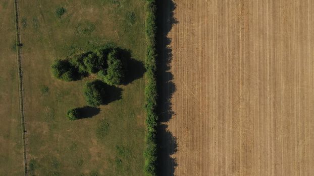 Top Down Aerial View of Green and Yellow Wheat Field Farm and Greenhouses. Golden Crops During Pasture Aerial View. Agricultural Work in Summer During Drought. Grain Crisis. Nature, Harvesting, Eco